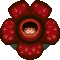 Rafflesia - Nookipedia, the Animal Crossing wiki