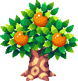 Orange_Tree_PG.png