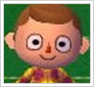 animal crossing new leaf guide face